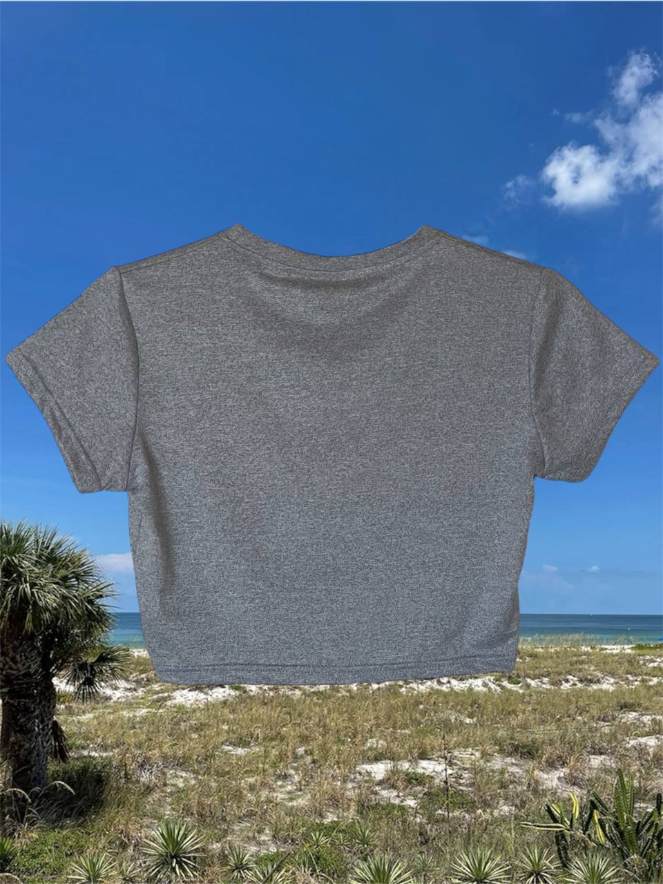 Women’s Original Gray Crop Top by Sharkey’s EcoWear